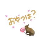 うさぎのラン（個別スタンプ：33）