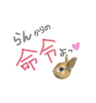 うさぎのラン（個別スタンプ：38）