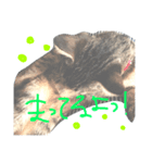 aduki2（個別スタンプ：4）
