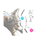 aduki2（個別スタンプ：6）