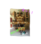 tonokun3（個別スタンプ：8）