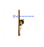私はにゃんこ先生（個別スタンプ：4）