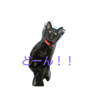 ヤマト(くろねこ)（個別スタンプ：1）