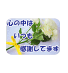 花のある記念日3（個別スタンプ：3）