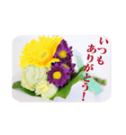 花のある記念日3（個別スタンプ：4）