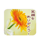 花のある記念日3（個別スタンプ：5）