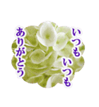 花のある記念日3（個別スタンプ：9）