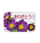 花のある記念日3（個別スタンプ：15）