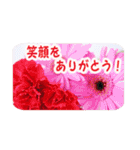 花のある記念日3（個別スタンプ：21）