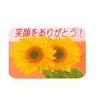 花のある記念日3（個別スタンプ：30）