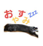 まめです♡（個別スタンプ：2）