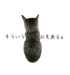 ねこがゆく。（個別スタンプ：9）