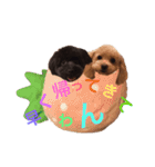わんこな1日（個別スタンプ：2）