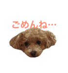わんこな1日（個別スタンプ：6）