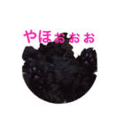 わんこな1日（個別スタンプ：9）