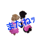 わんこな1日（個別スタンプ：19）
