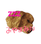 わんこな1日（個別スタンプ：20）