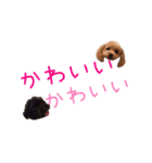わんこな1日（個別スタンプ：22）