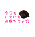 わんこな1日（個別スタンプ：24）