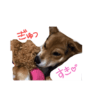 ペロっちSTAMP（個別スタンプ：7）