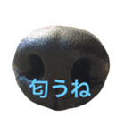 人んちのペット（個別スタンプ：4）