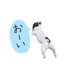 チャミフレンズ2（個別スタンプ：4）