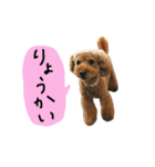 チャミフレンズ2（個別スタンプ：16）
