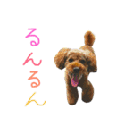チャミフレンズ2（個別スタンプ：17）