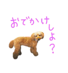 チャミフレンズ2（個別スタンプ：19）