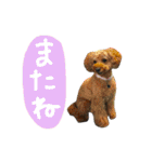 チャミフレンズ2（個別スタンプ：22）