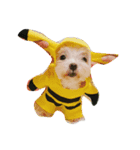 My dog's  dairy（個別スタンプ：1）