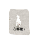 My dog's  dairy（個別スタンプ：10）