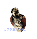 chomoko（個別スタンプ：4）