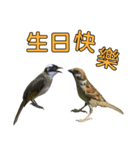 Bird language part 2（個別スタンプ：28）