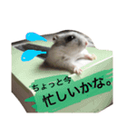 ポメのいくこ（個別スタンプ：15）
