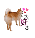 虎太郎✩関西弁（個別スタンプ：3）
