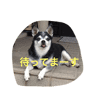 ケルンとウルム（個別スタンプ：2）