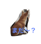 ケルンとウルム（個別スタンプ：4）