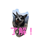 ケルンとウルム（個別スタンプ：10）