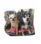 ケルンとウルム（個別スタンプ：12）