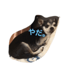 ケルンとウルム（個別スタンプ：14）