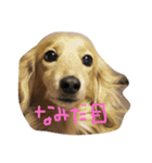 munyanko9（個別スタンプ：5）