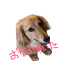 munyanko9（個別スタンプ：6）