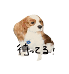 munyanko9（個別スタンプ：10）