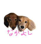 munyanko9（個別スタンプ：13）