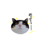ふたまる と くく（個別スタンプ：3）