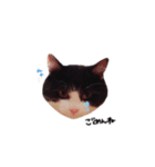 ふたまる と くく（個別スタンプ：4）