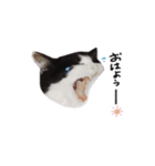 ふたまる と くく（個別スタンプ：5）