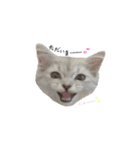 ふたまる と くく（個別スタンプ：7）