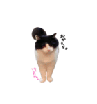 ふたまる と くく（個別スタンプ：8）